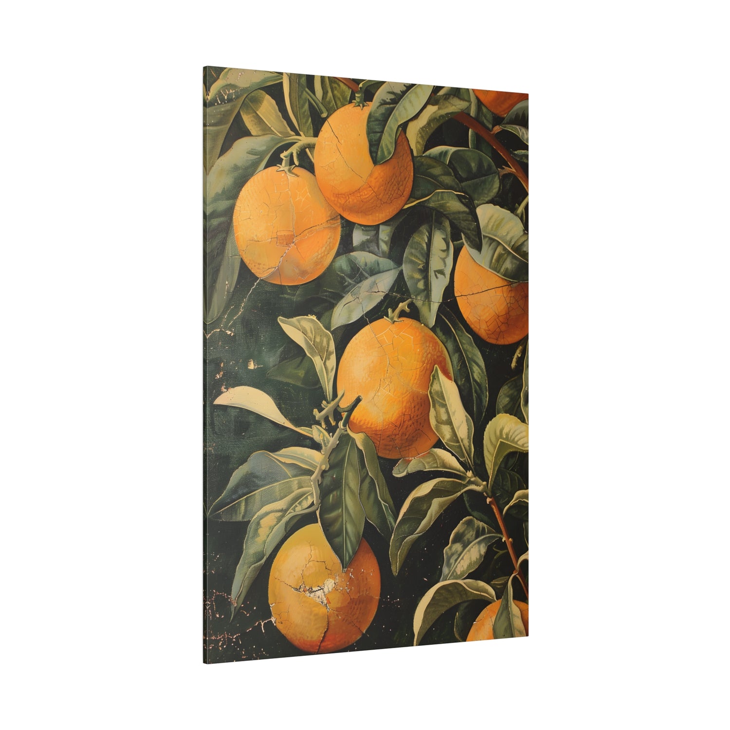 .75&quot; Matte Canvas - Citrus Grove Splendor