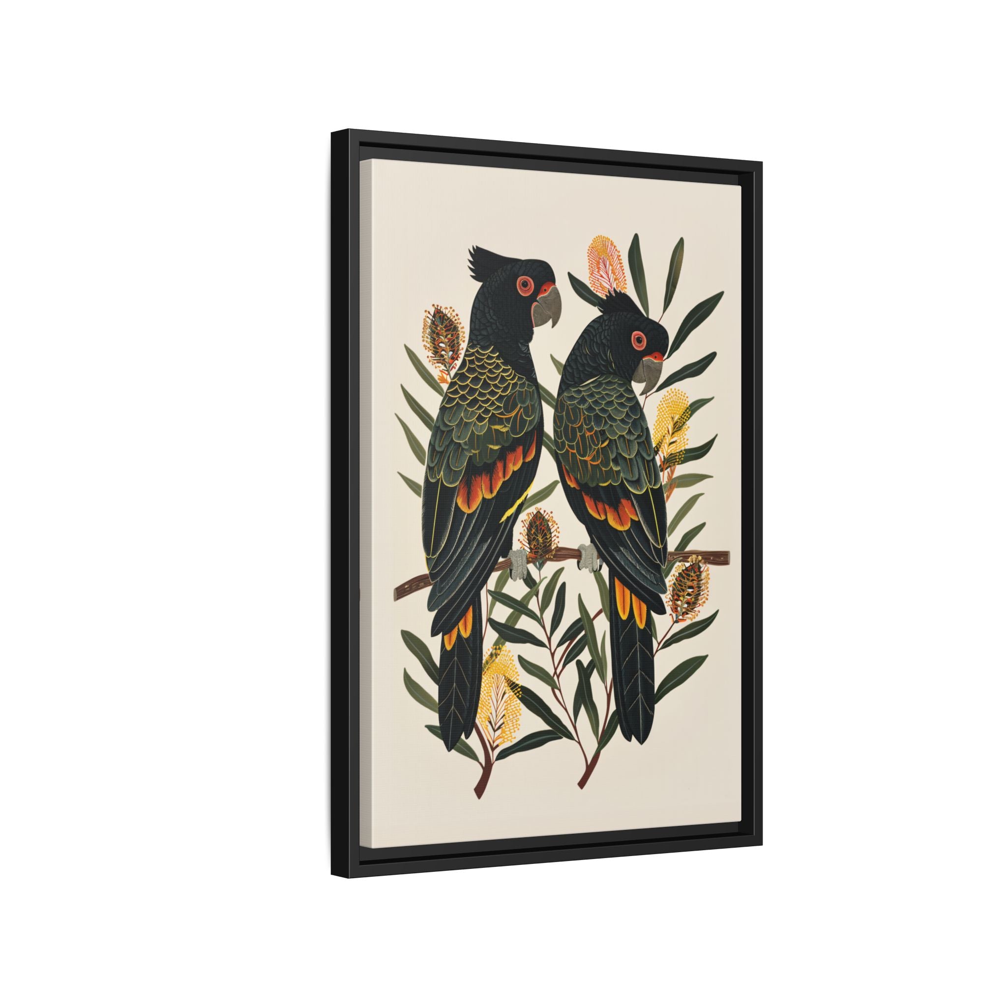 Framed Canvas - Black Cockatoos Among Banksia