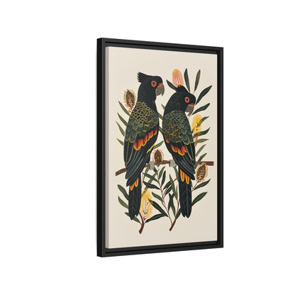 Framed Canvas - Black Cockatoos Among Banksia