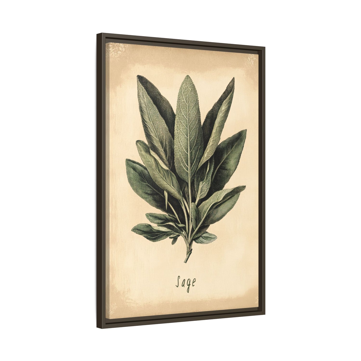 Framed Canvas - Botanical Sage Study