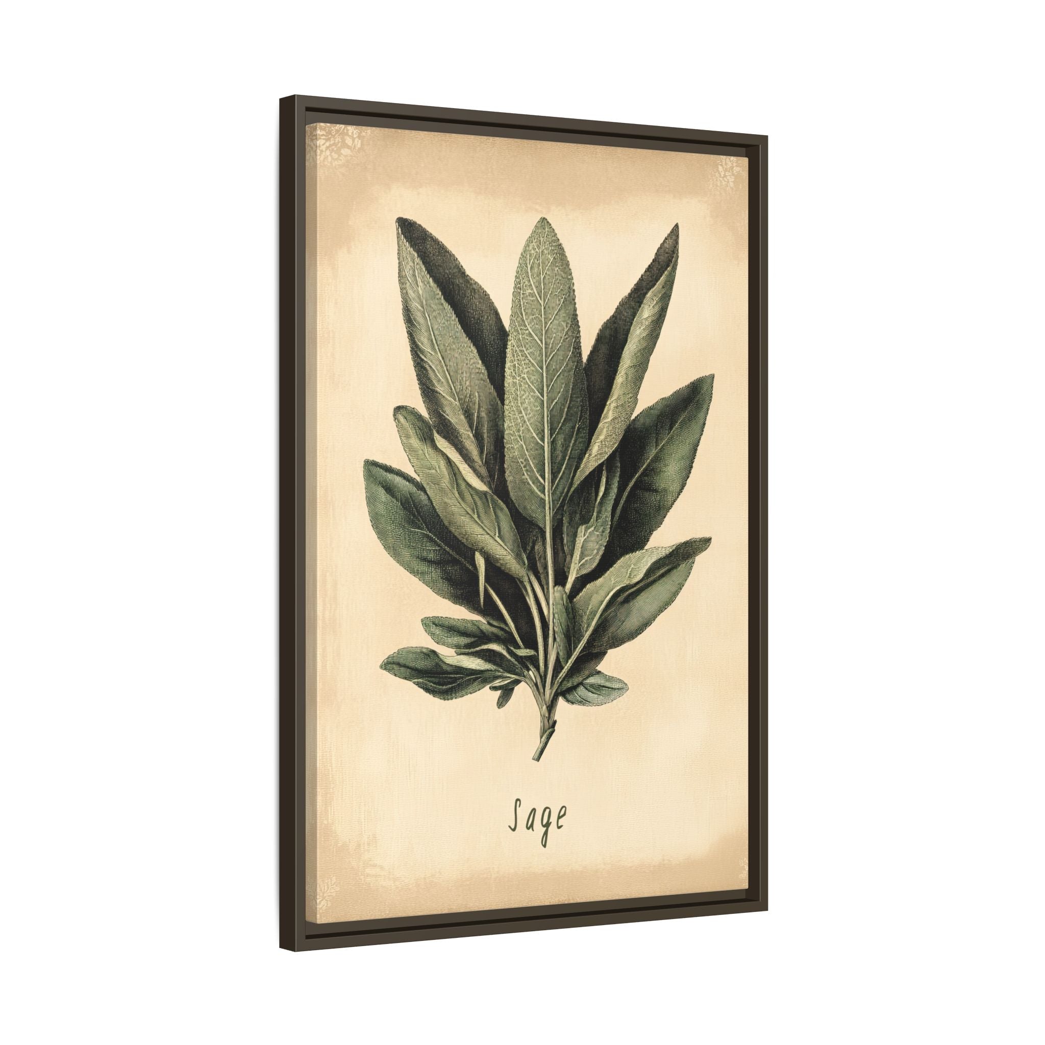 Framed Canvas - Botanical Sage Study