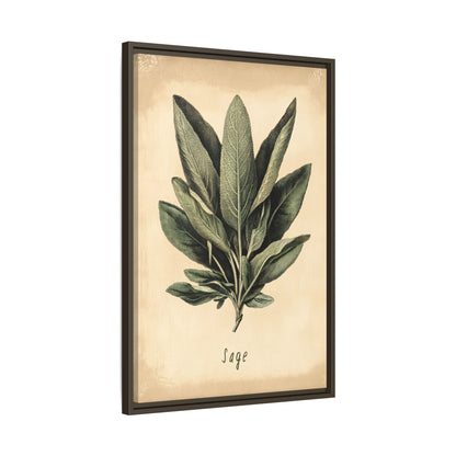 Framed Canvas - Botanical Sage Study