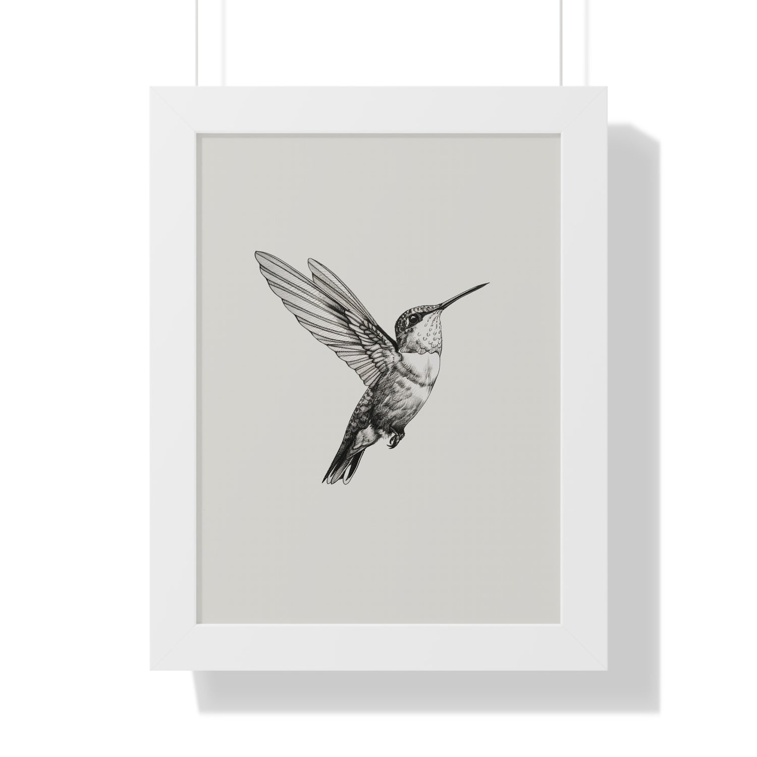 Framed Paper Print - Flying Hummingbird Line Study