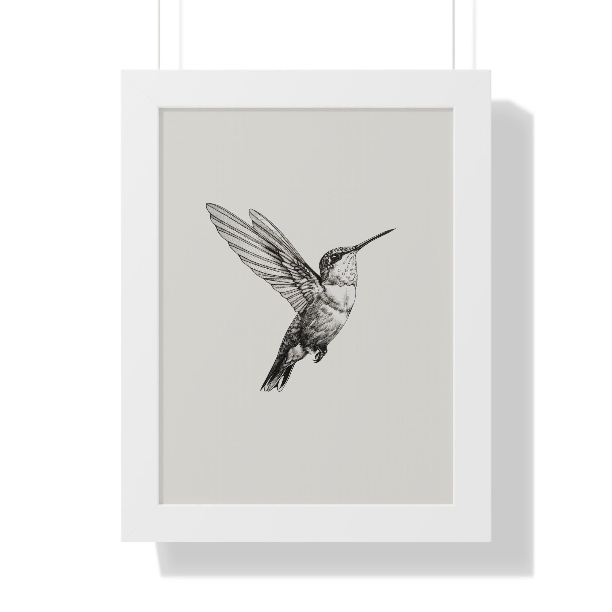 Framed Paper Print - Flying Hummingbird Line Study