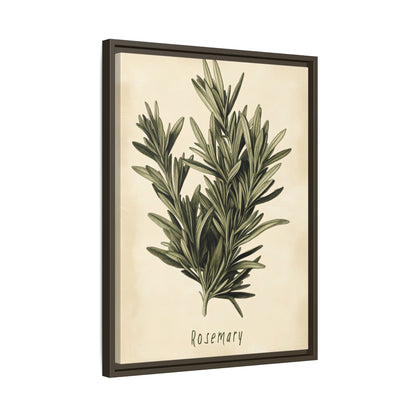 Framed Canvas - Botanical Rosemary Study
