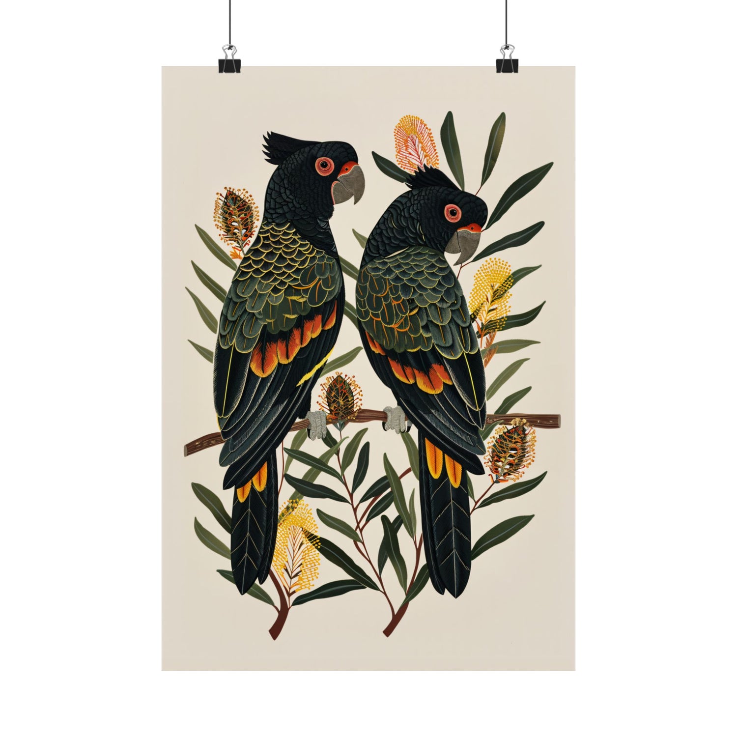 Black Cockatoos Among Banksia
