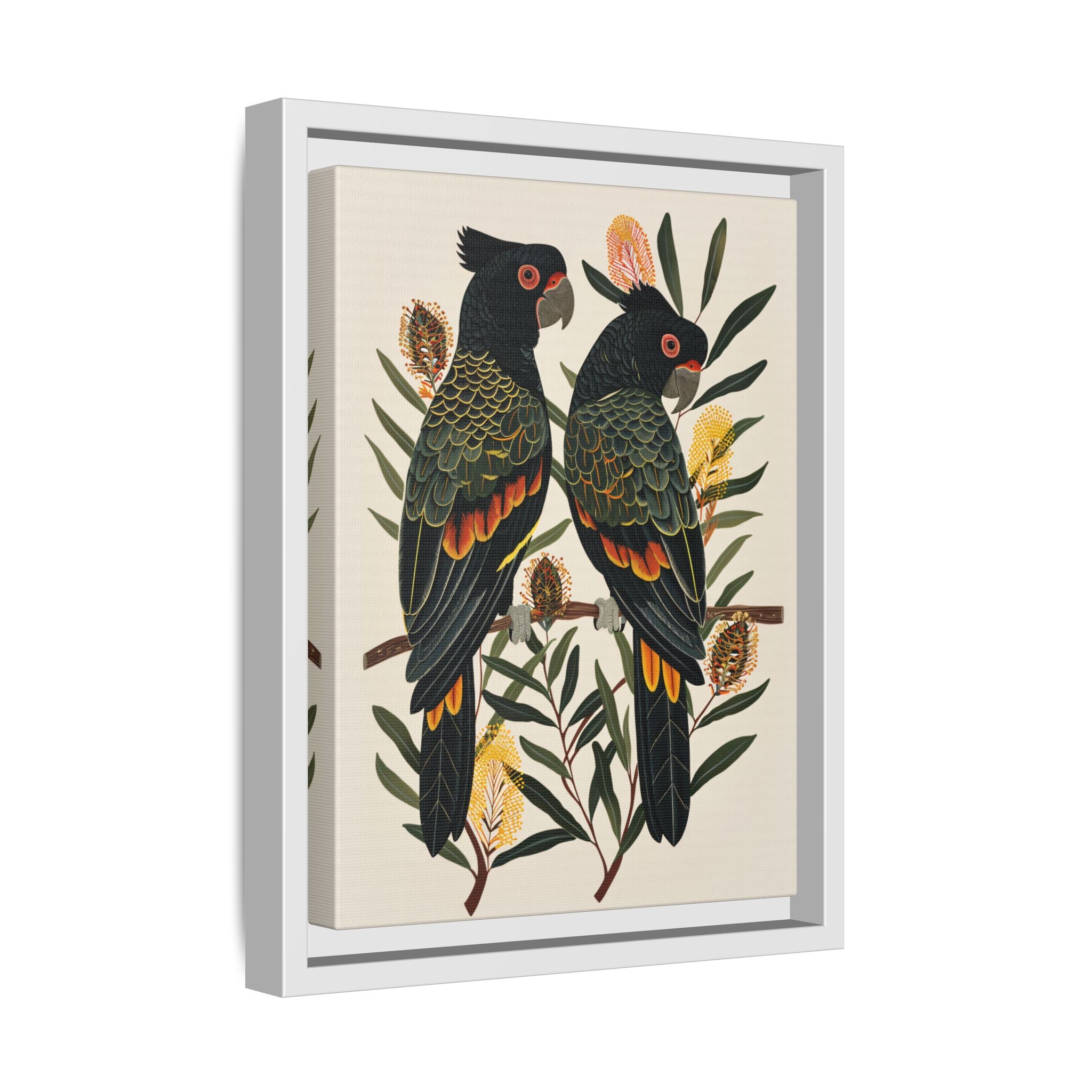 Framed Canvas - Black Cockatoos Among Banksia