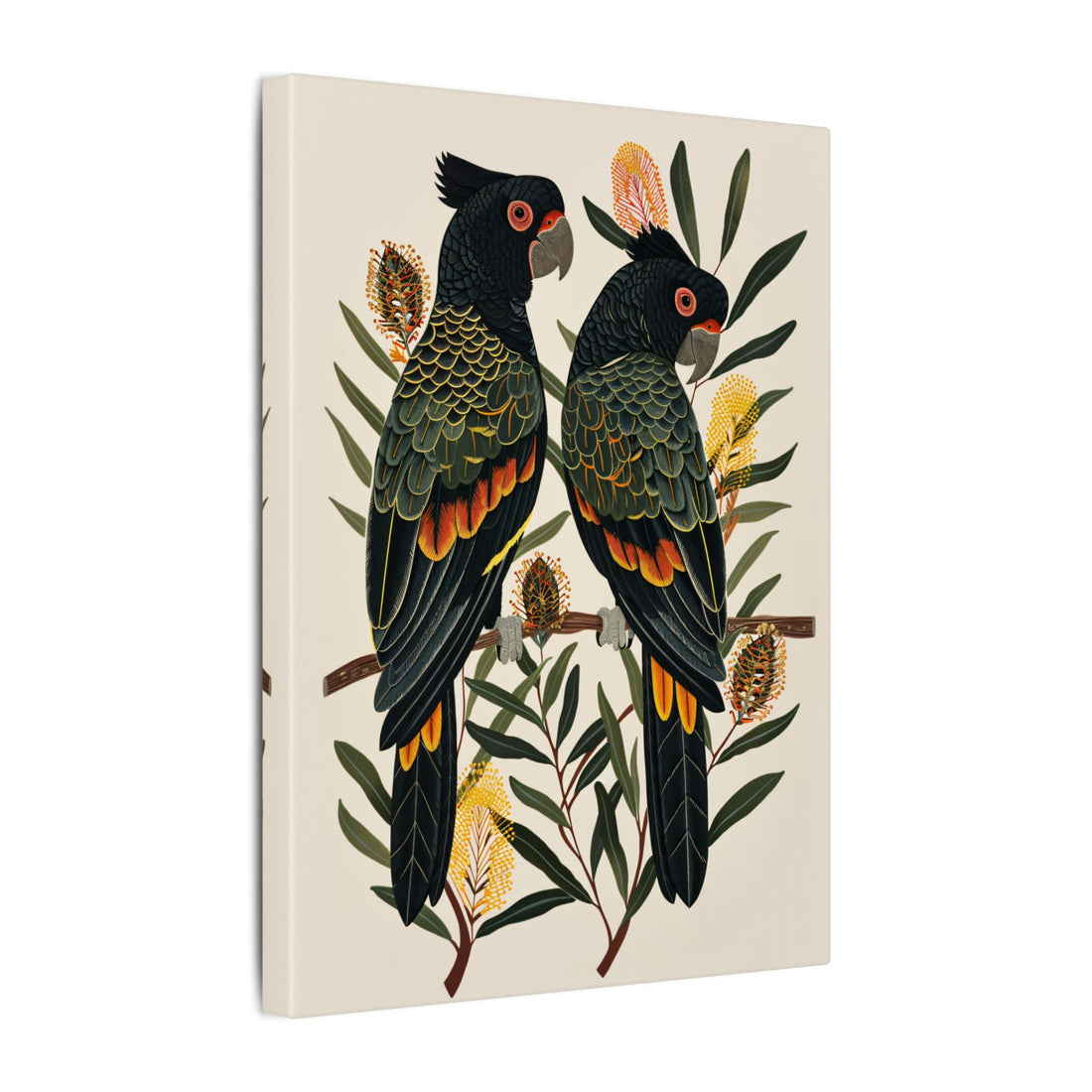 .75" Matte Canvas - Black Cockatoos Among Banksia