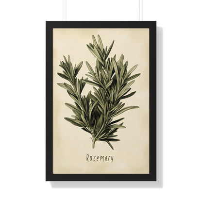 Framed Paper Print - Botanical Rosemary Study