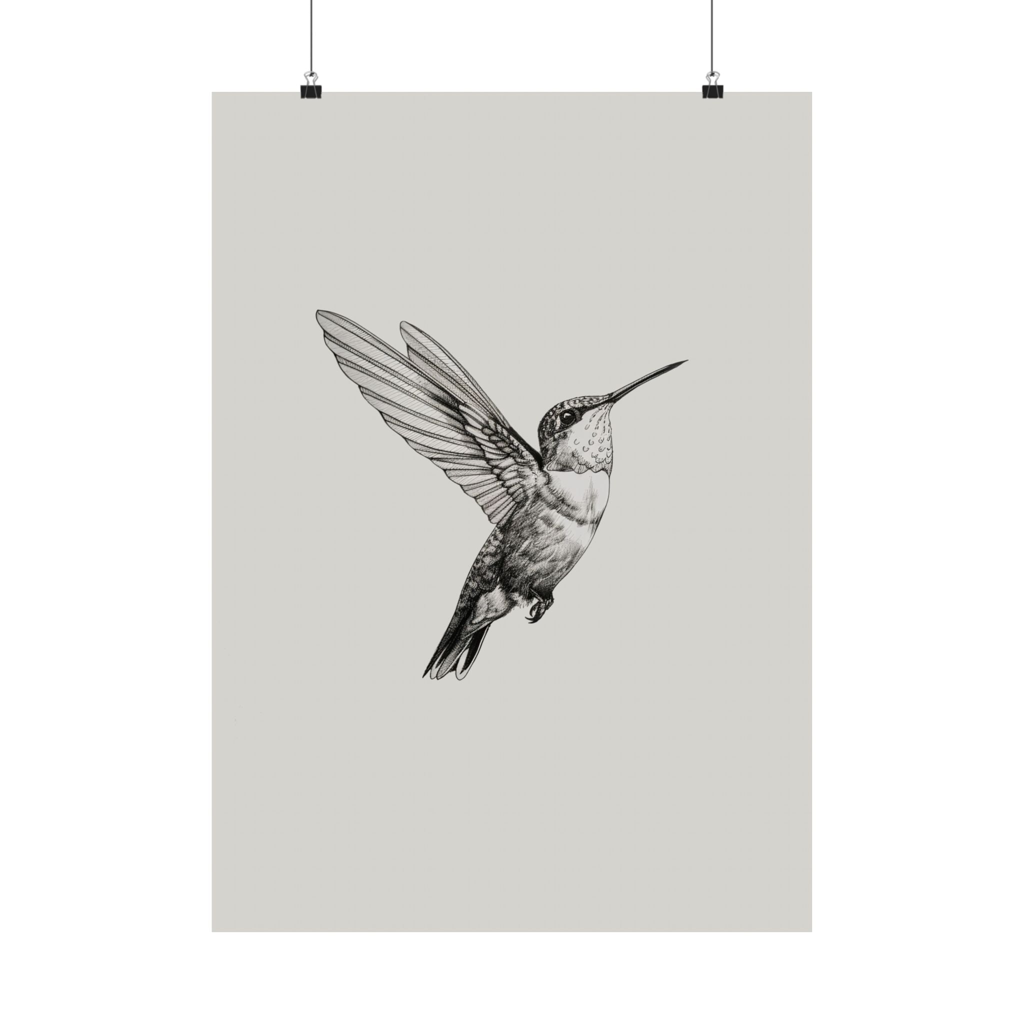 Flying Hummingbird Line Study