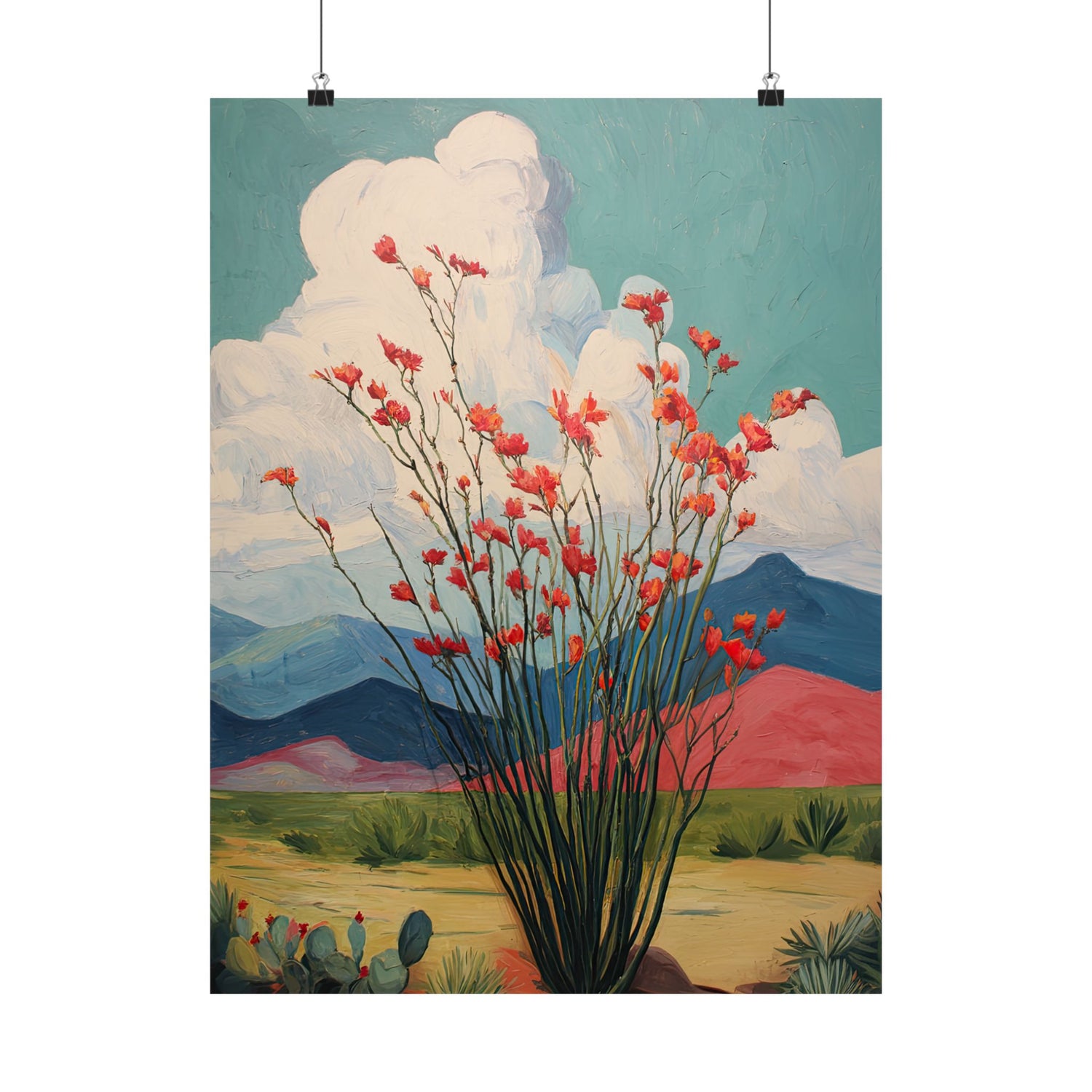 Ocotillo Cactus Desert Bloom