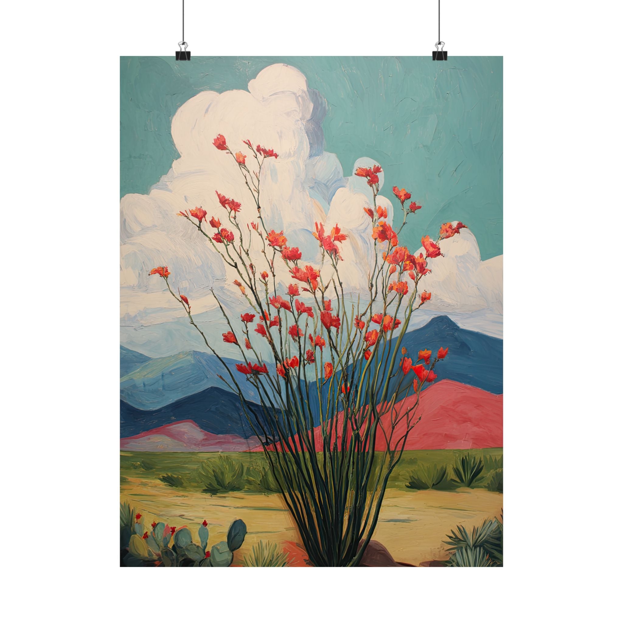 Ocotillo Cactus Desert Bloom