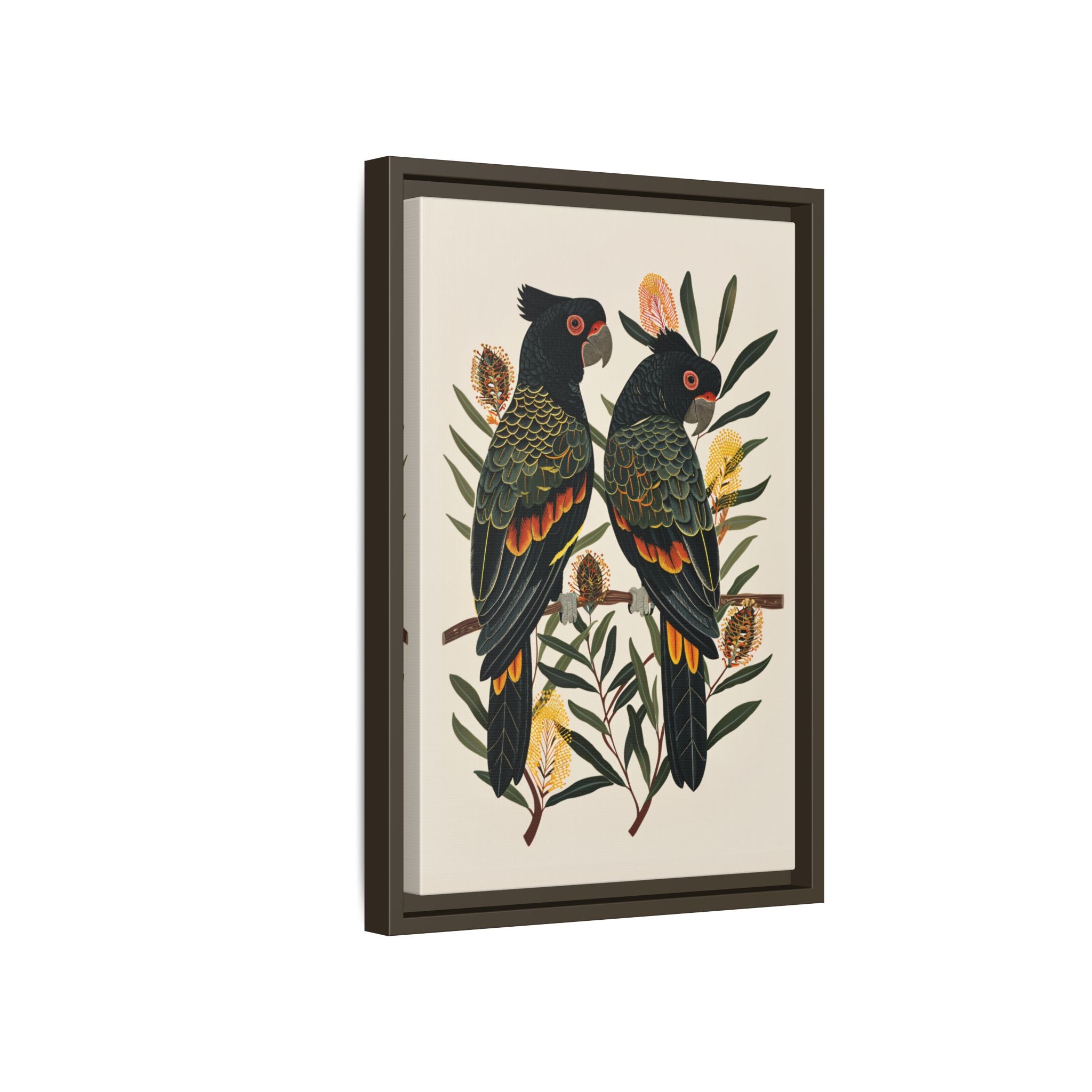 Framed Canvas - Black Cockatoos Among Banksia