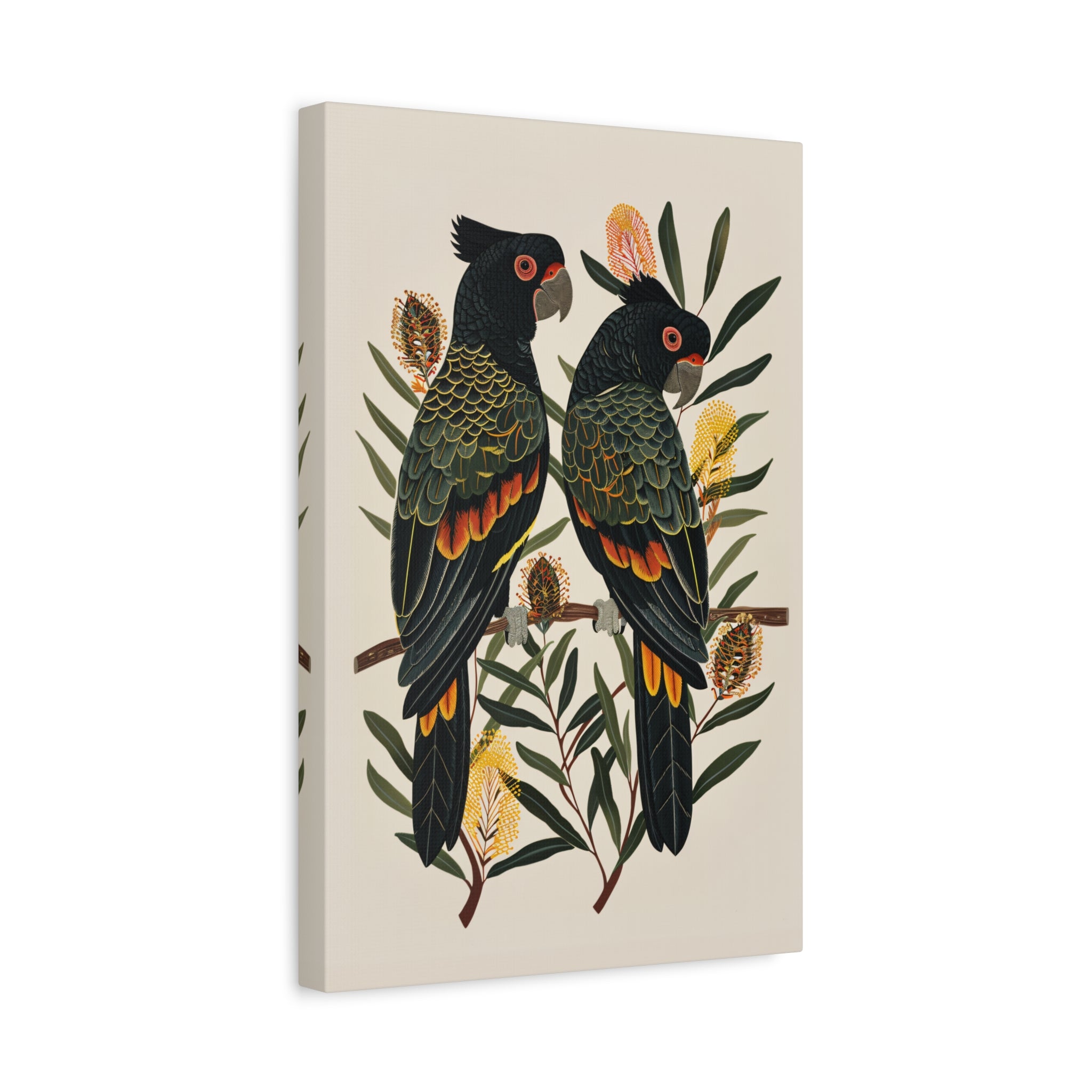 1.25" Matte Canvas - Black Cockatoos Among Banksia