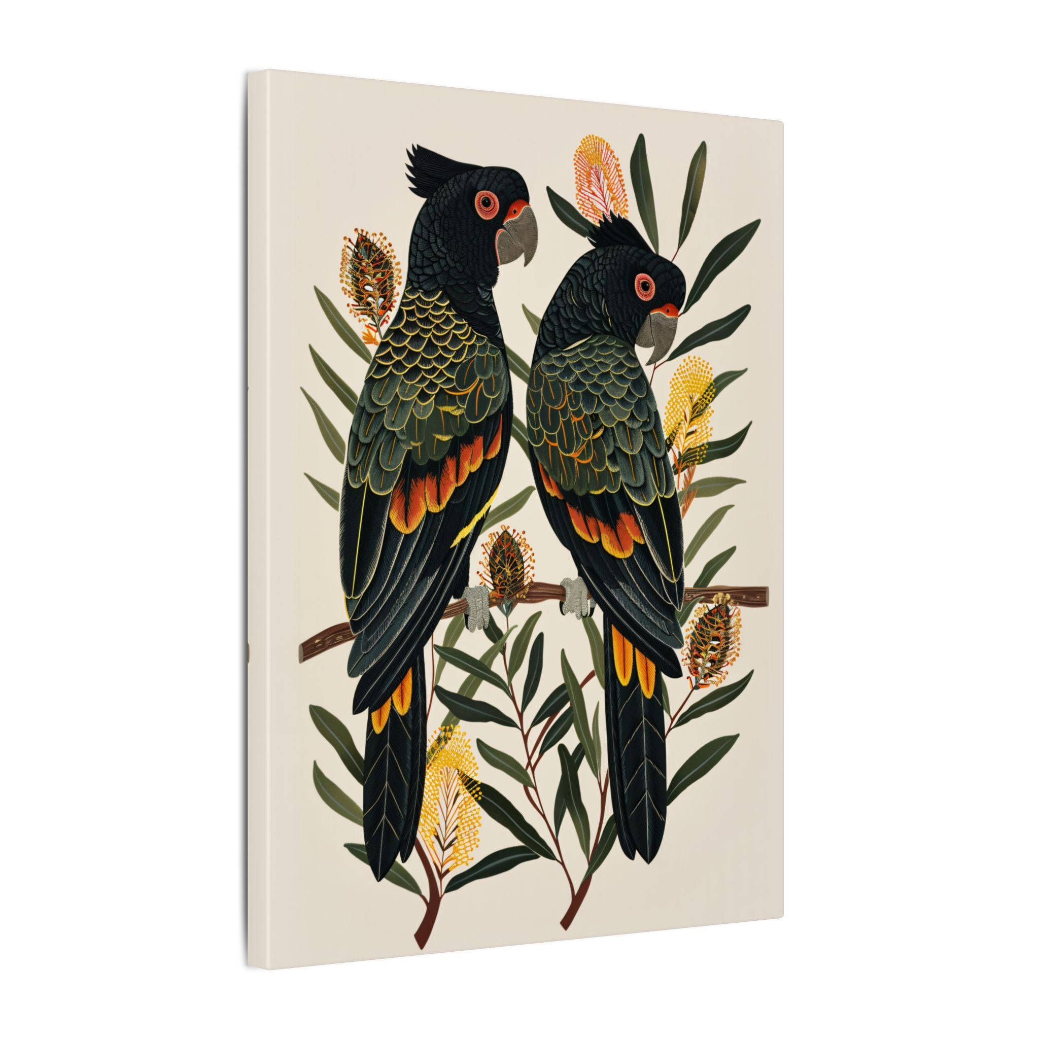 .75" Matte Canvas - Black Cockatoos Among Banksia