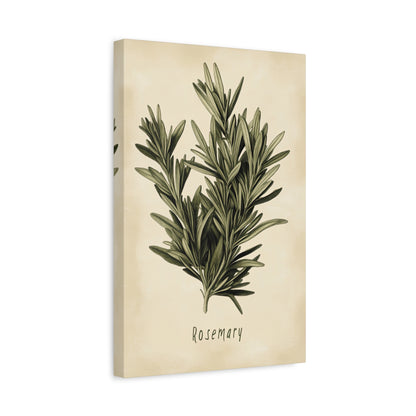1.25" Matte Canvas - Botanical Rosemary Study