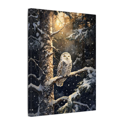 .75" Matte Canvas - Silent Gaze Snow Owl
