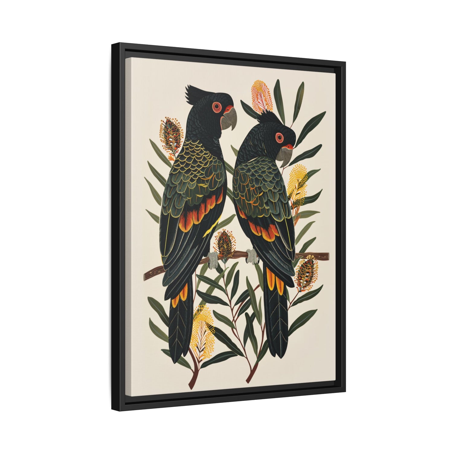 Framed Canvas - Black Cockatoos Among Banksia