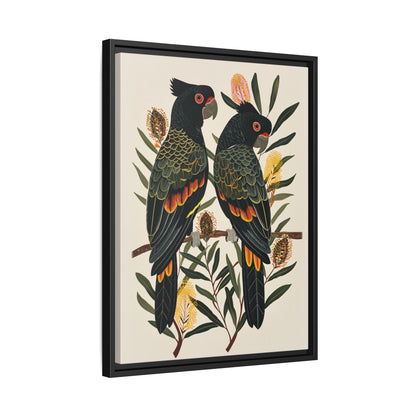 Framed Canvas - Black Cockatoos Among Banksia