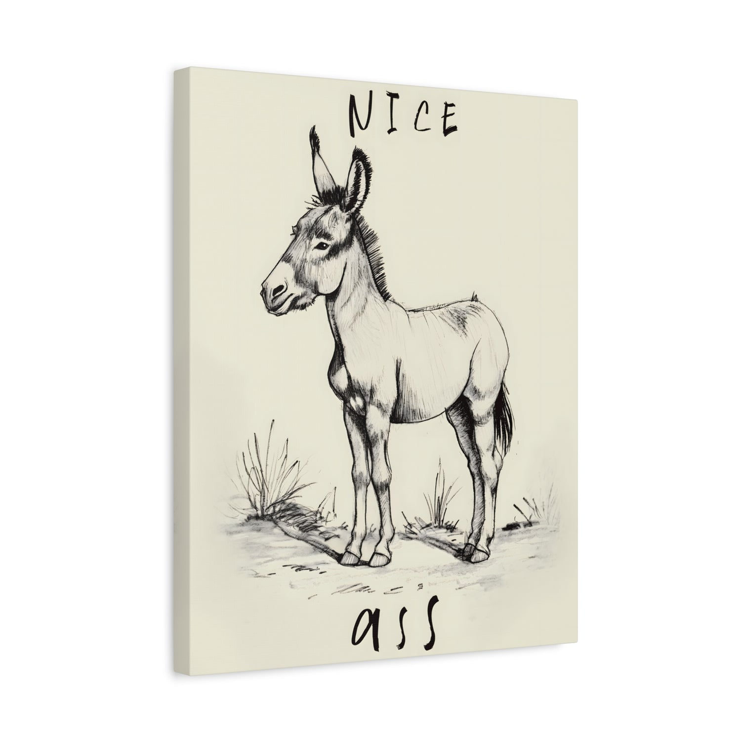 1.25" Matte Canvas - Donkey Line Art Humor