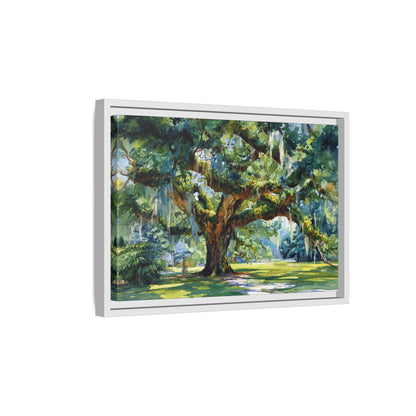 Framed Canvas - Whispering Southern Live Oak