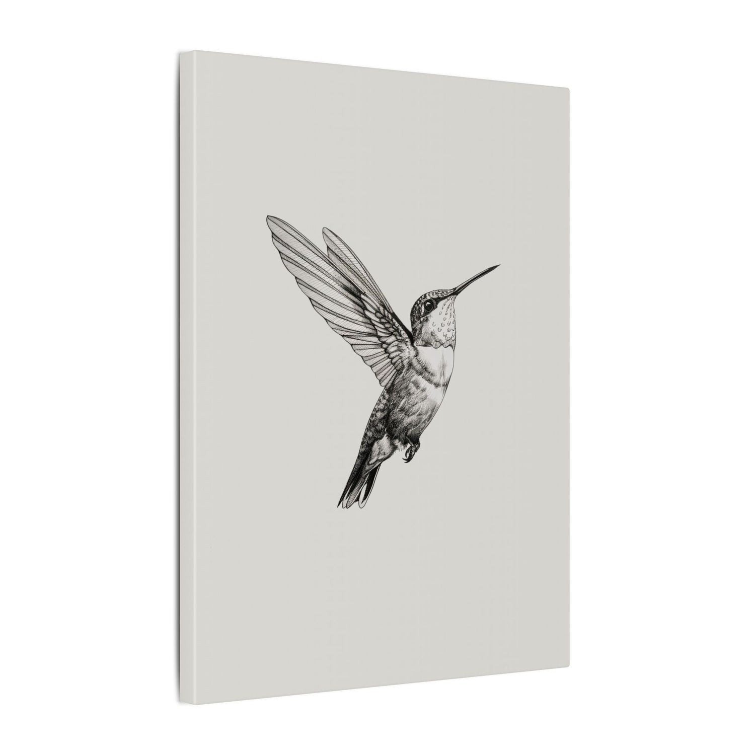 .75" Matte Canvas - Flying Hummingbird Line Study