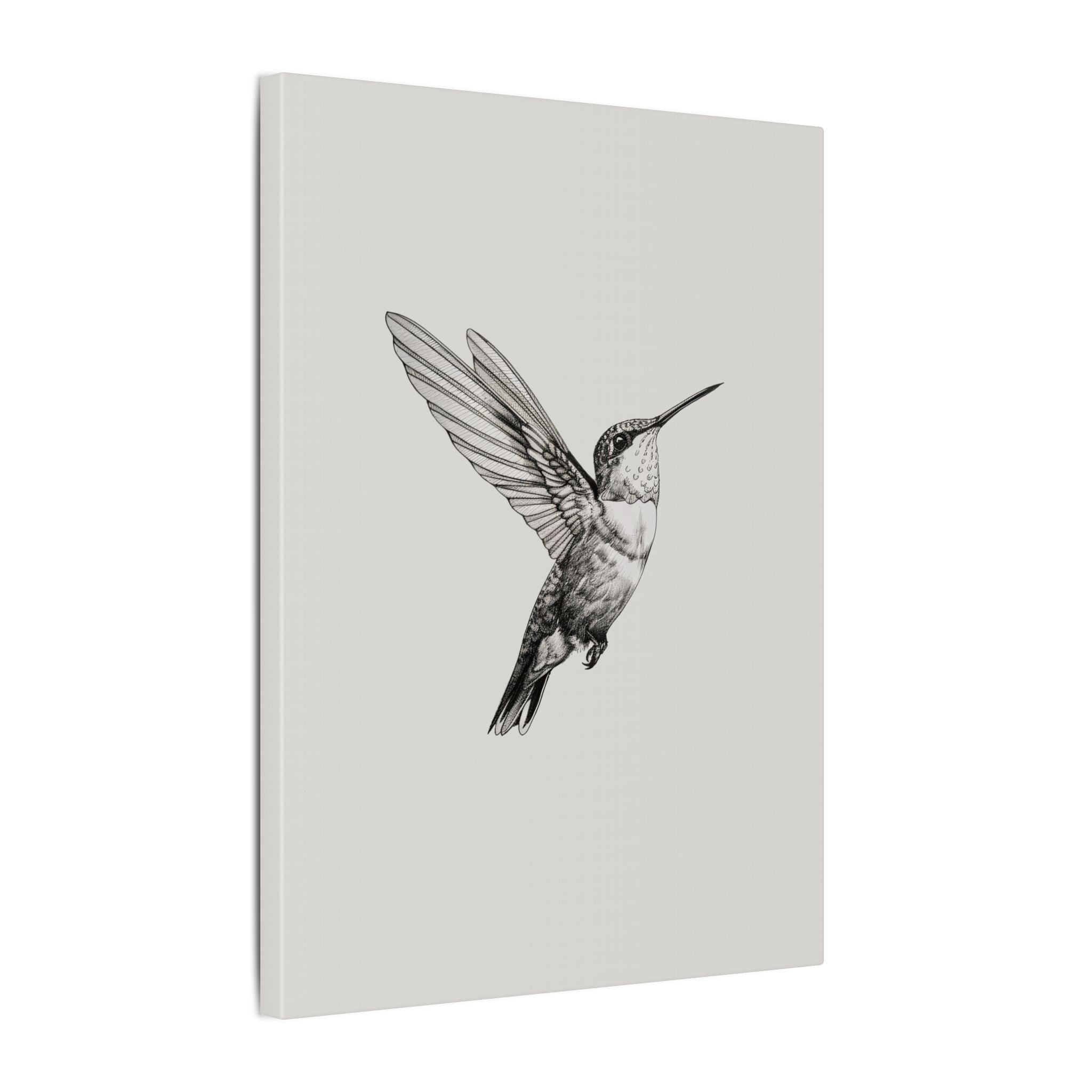 .75" Matte Canvas - Flying Hummingbird Line Study