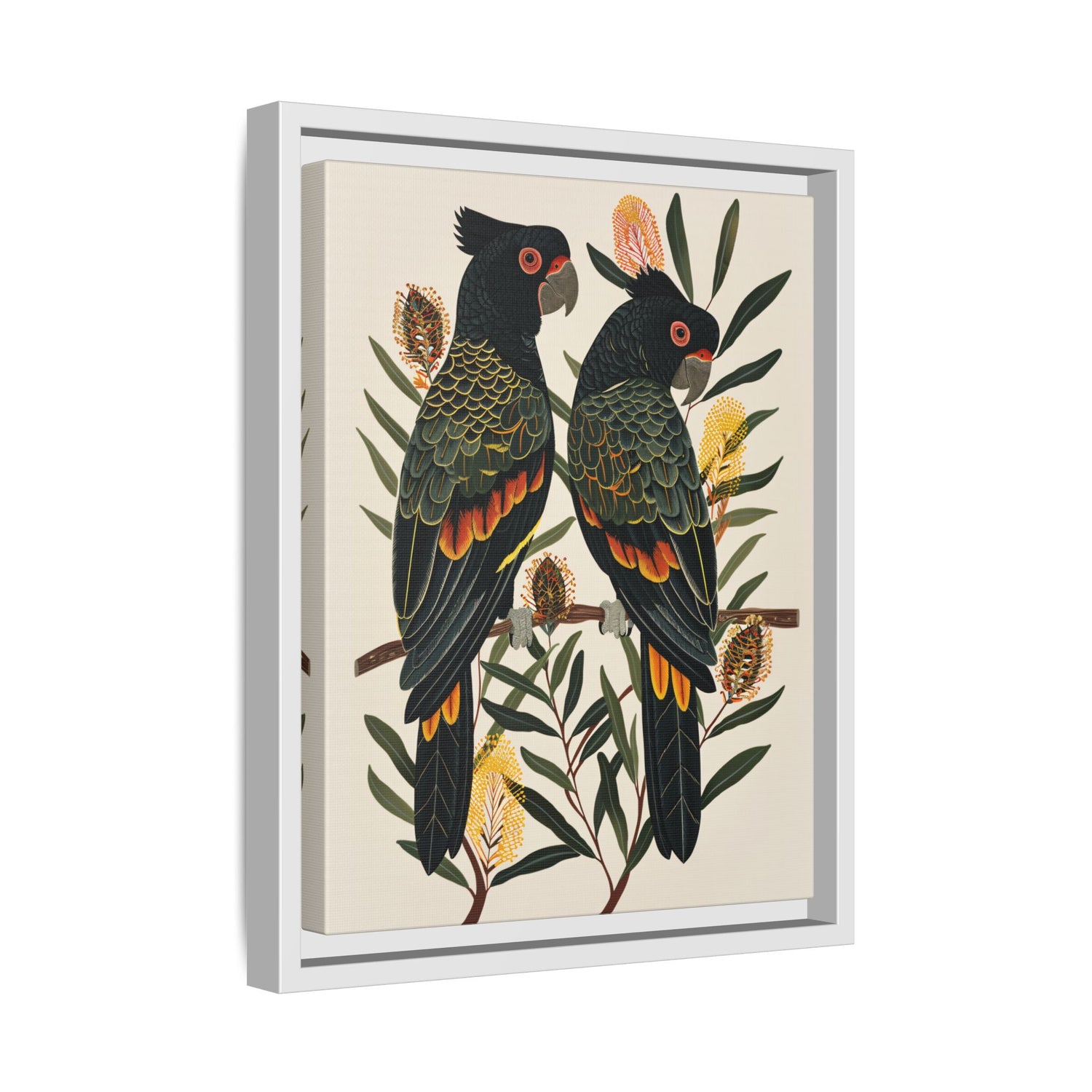 Framed Canvas - Black Cockatoos Among Banksia