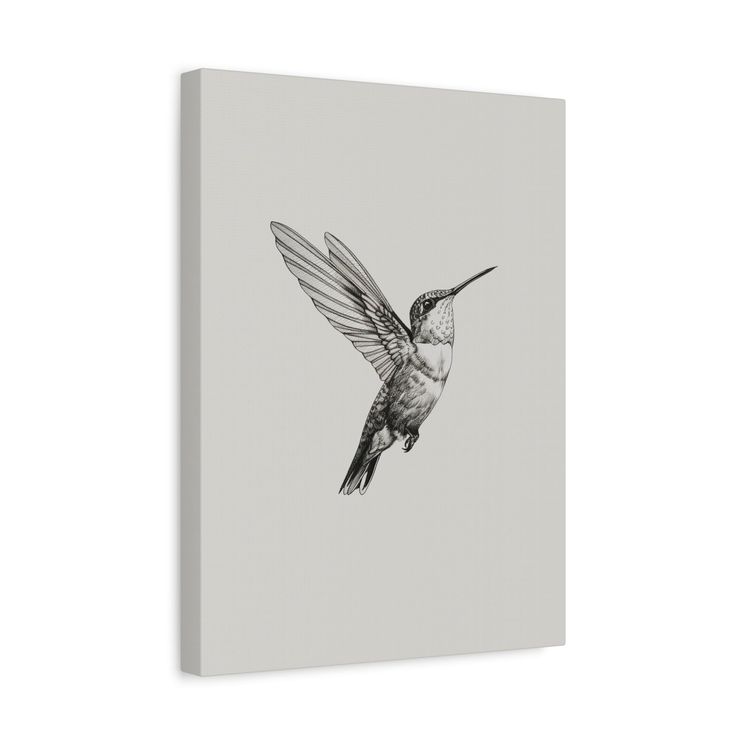 1.25" Matte Canvas - Flying Hummingbird Line Study