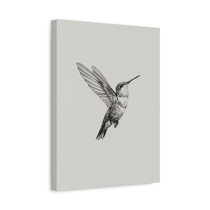 1.25" Matte Canvas - Flying Hummingbird Line Study