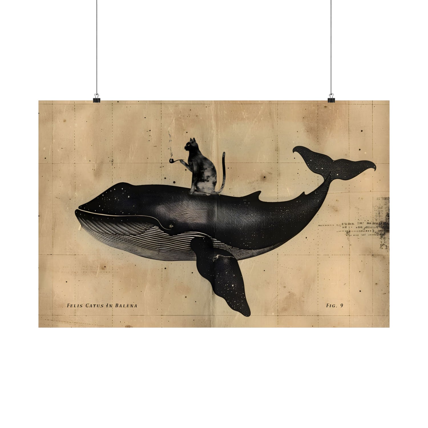 Cat Rides Whale Theory