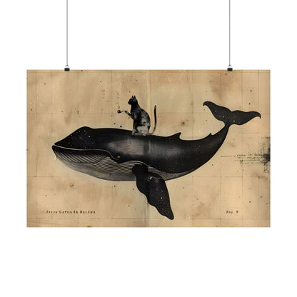 Cat Rides Whale Theory