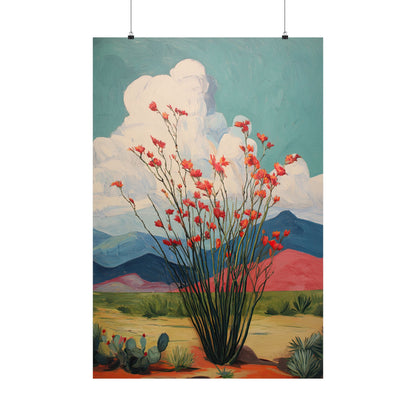 Ocotillo Cactus Desert Bloom