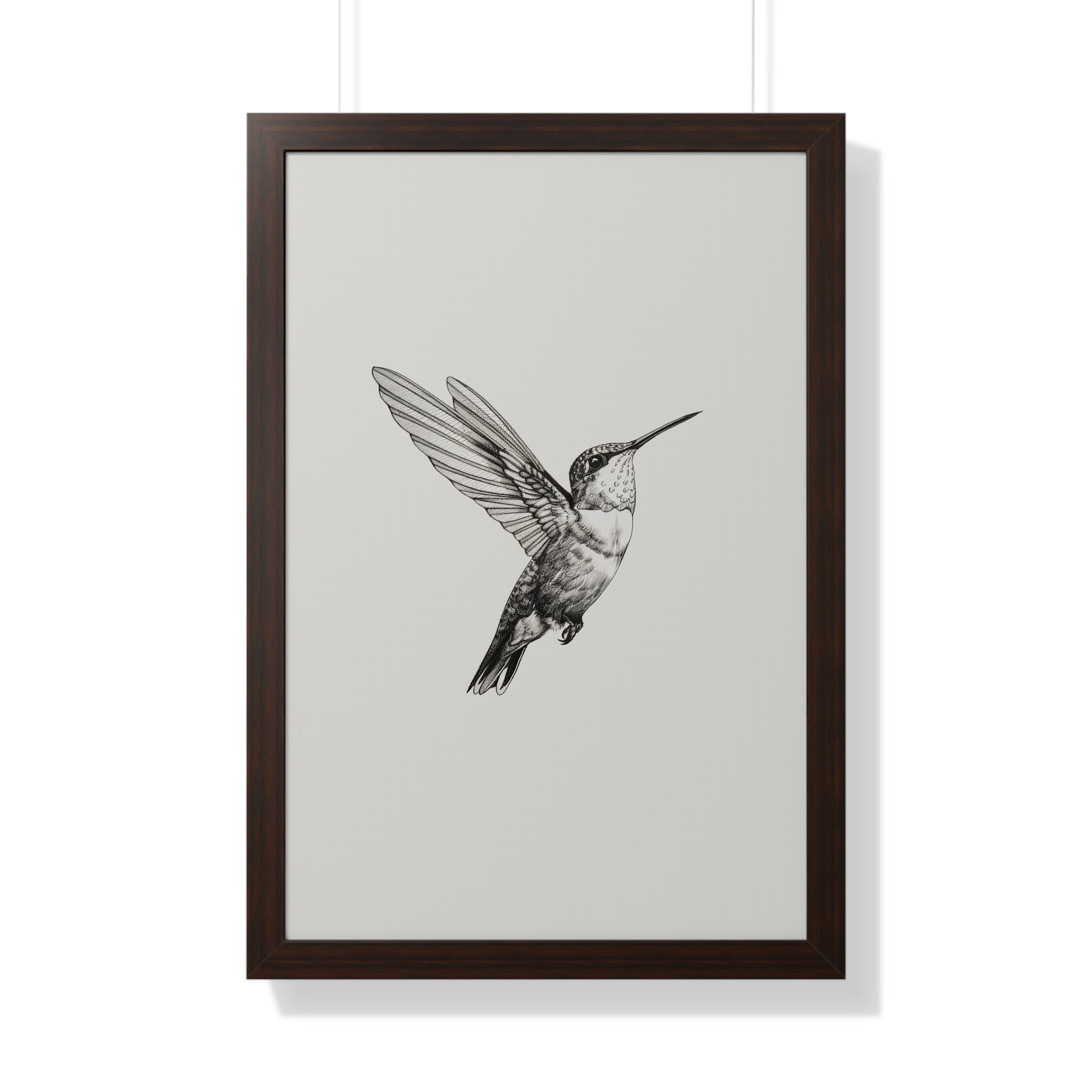 Framed Paper Print - Flying Hummingbird Line Study