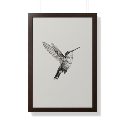 Framed Paper Print - Flying Hummingbird Line Study