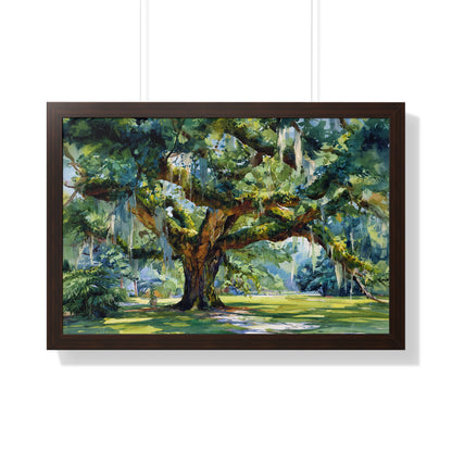 Framed Paper Print - Whispering Southern Live Oak