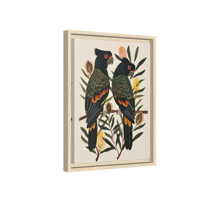 Framed Canvas - Black Cockatoos Among Banksia