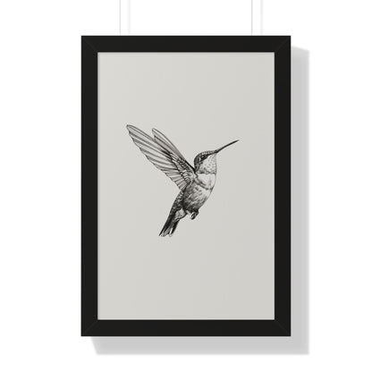 Framed Paper Print - Flying Hummingbird Line Study