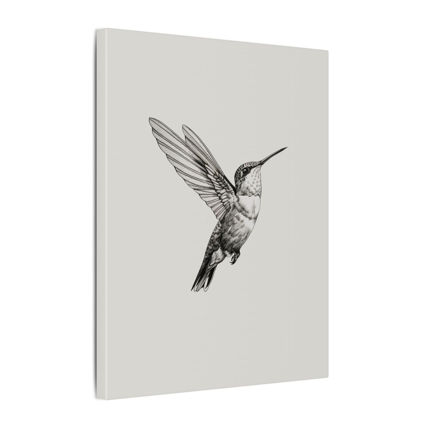 .75" Matte Canvas - Flying Hummingbird Line Study