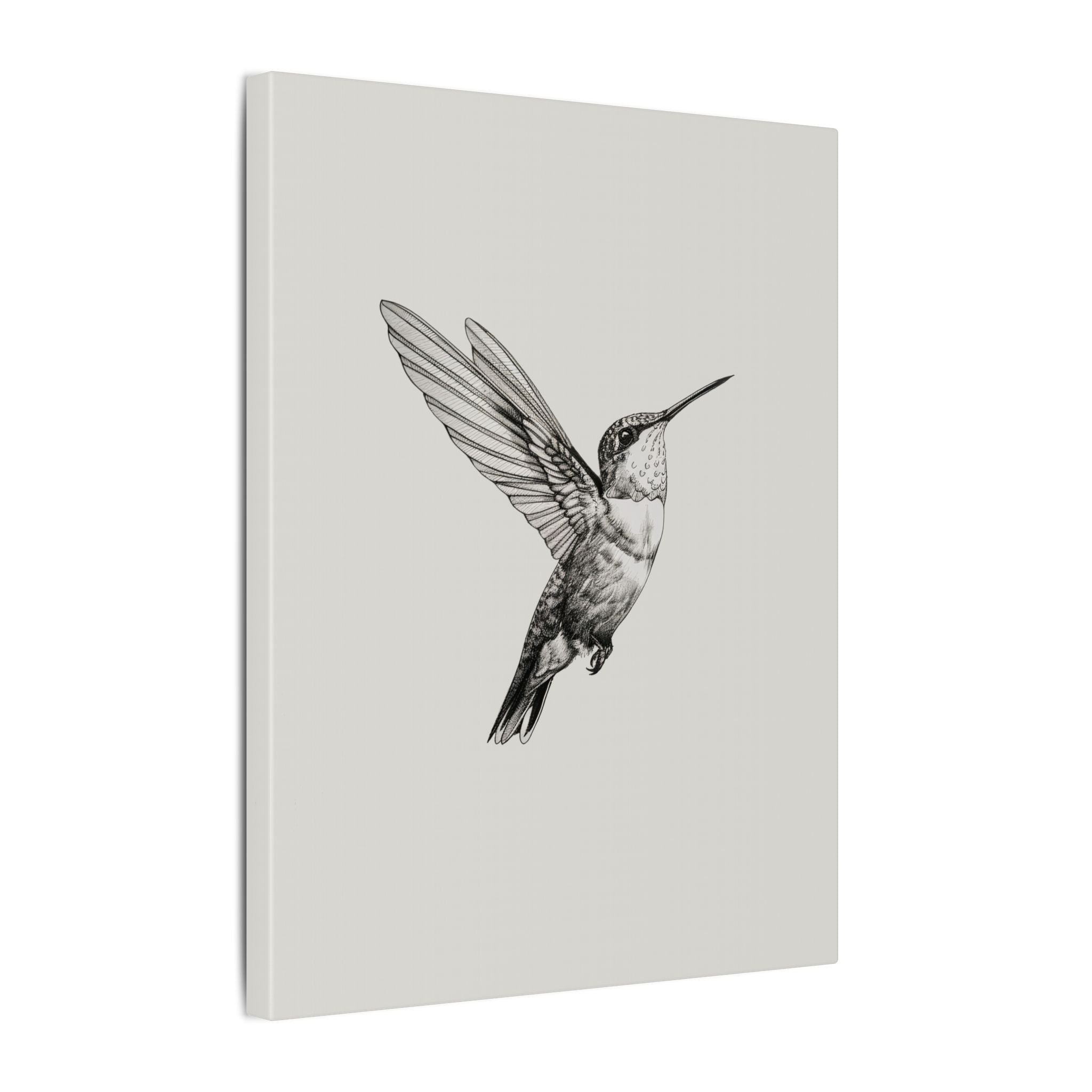 .75" Matte Canvas - Flying Hummingbird Line Study