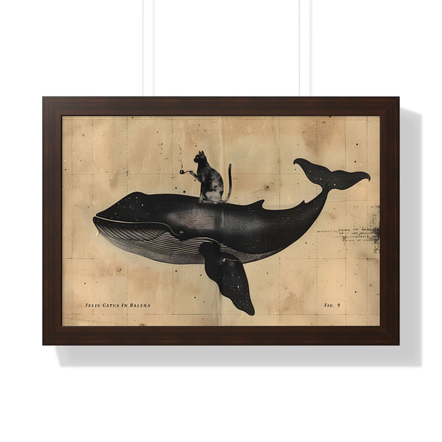 Framed Paper Print - Cat Rides Whale Theory