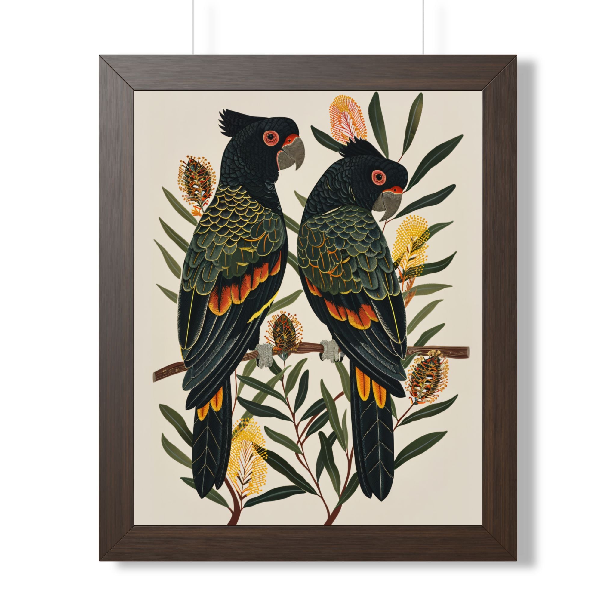 Framed Paper Print - Black Cockatoos Among Banksia