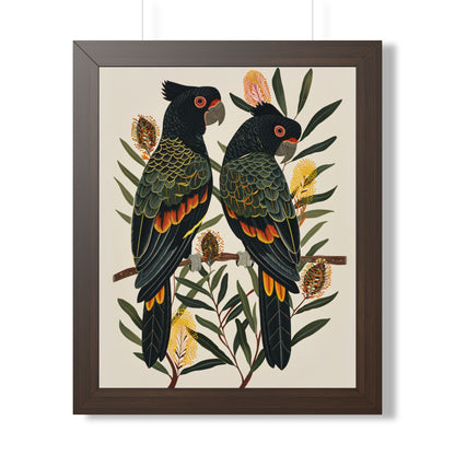 Framed Paper Print - Black Cockatoos Among Banksia