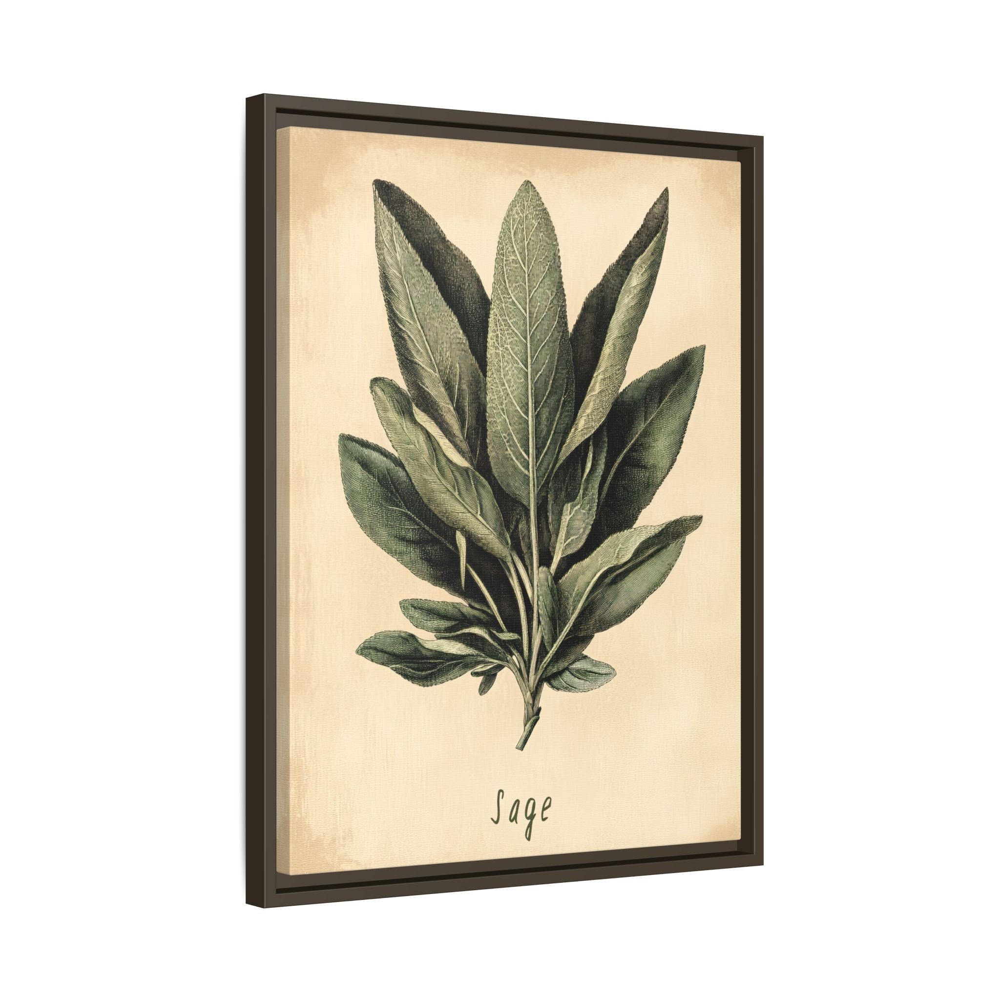 Framed Canvas - Botanical Sage Study