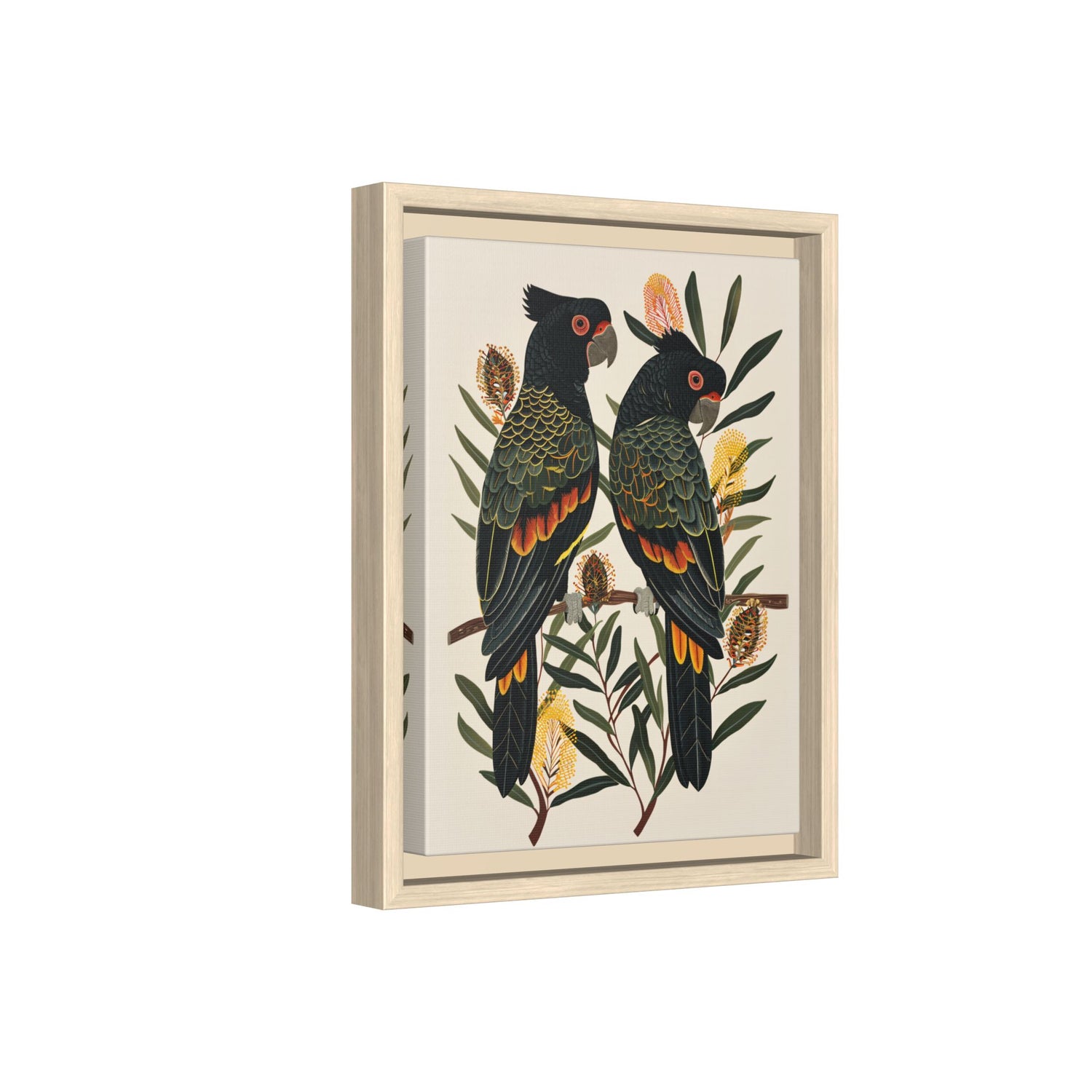 Framed Canvas - Black Cockatoos Among Banksia