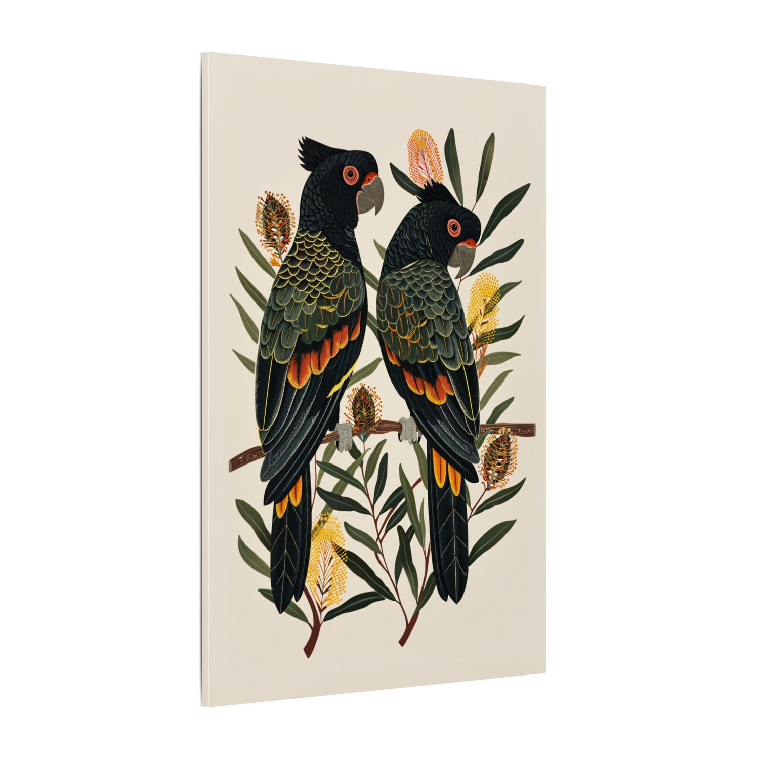 .75" Matte Canvas - Black Cockatoos Among Banksia