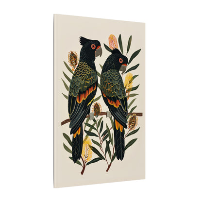 .75" Matte Canvas - Black Cockatoos Among Banksia