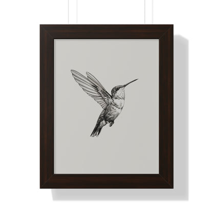 Framed Paper Print - Flying Hummingbird Line Study