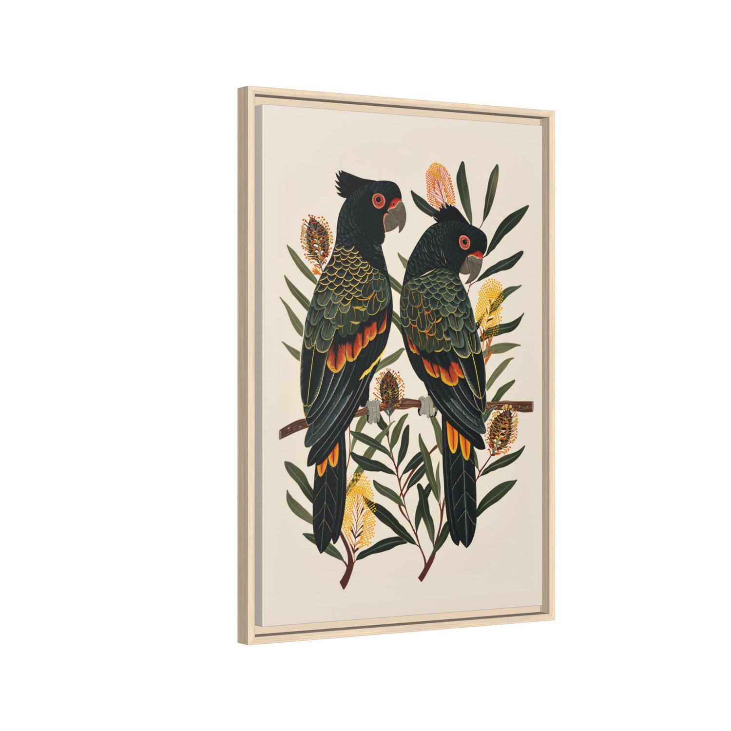 Framed Canvas - Black Cockatoos Among Banksia