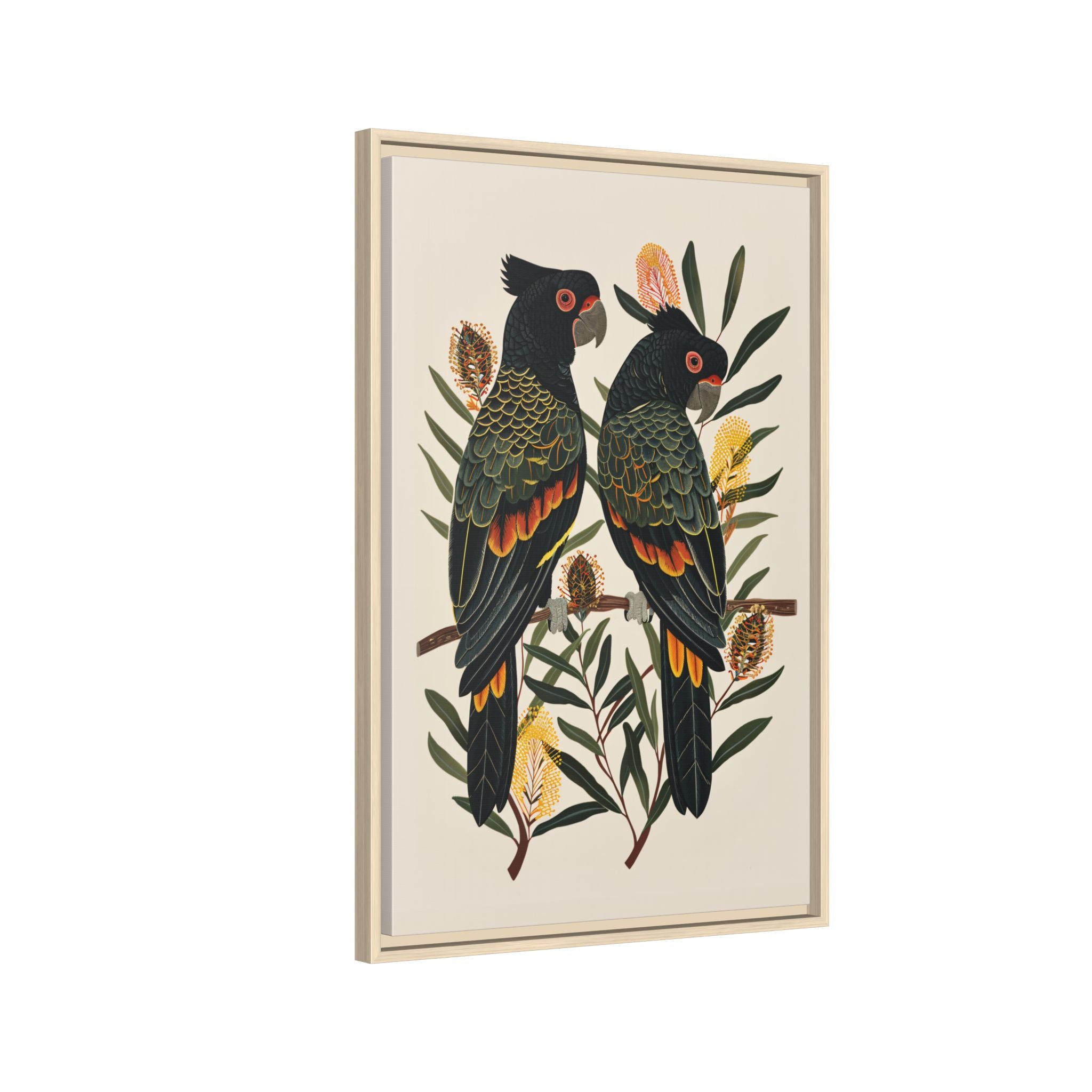 Framed Canvas - Black Cockatoos Among Banksia